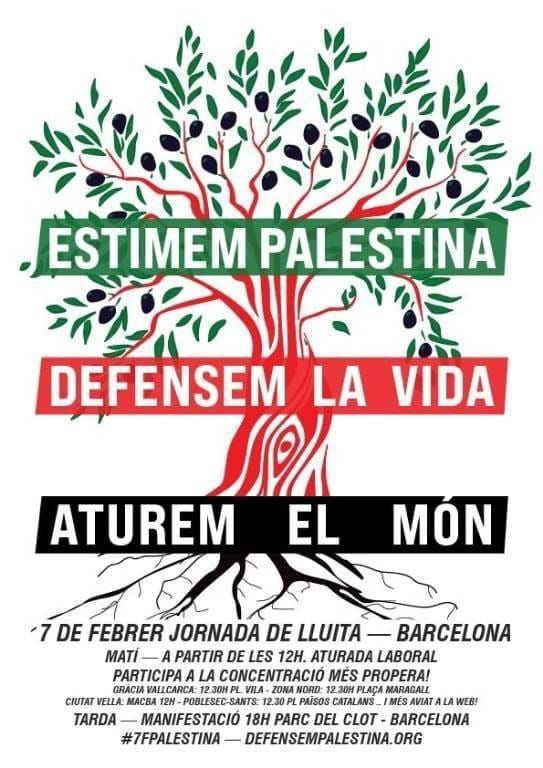 #7F Concentracions per Palestina (catalunya)