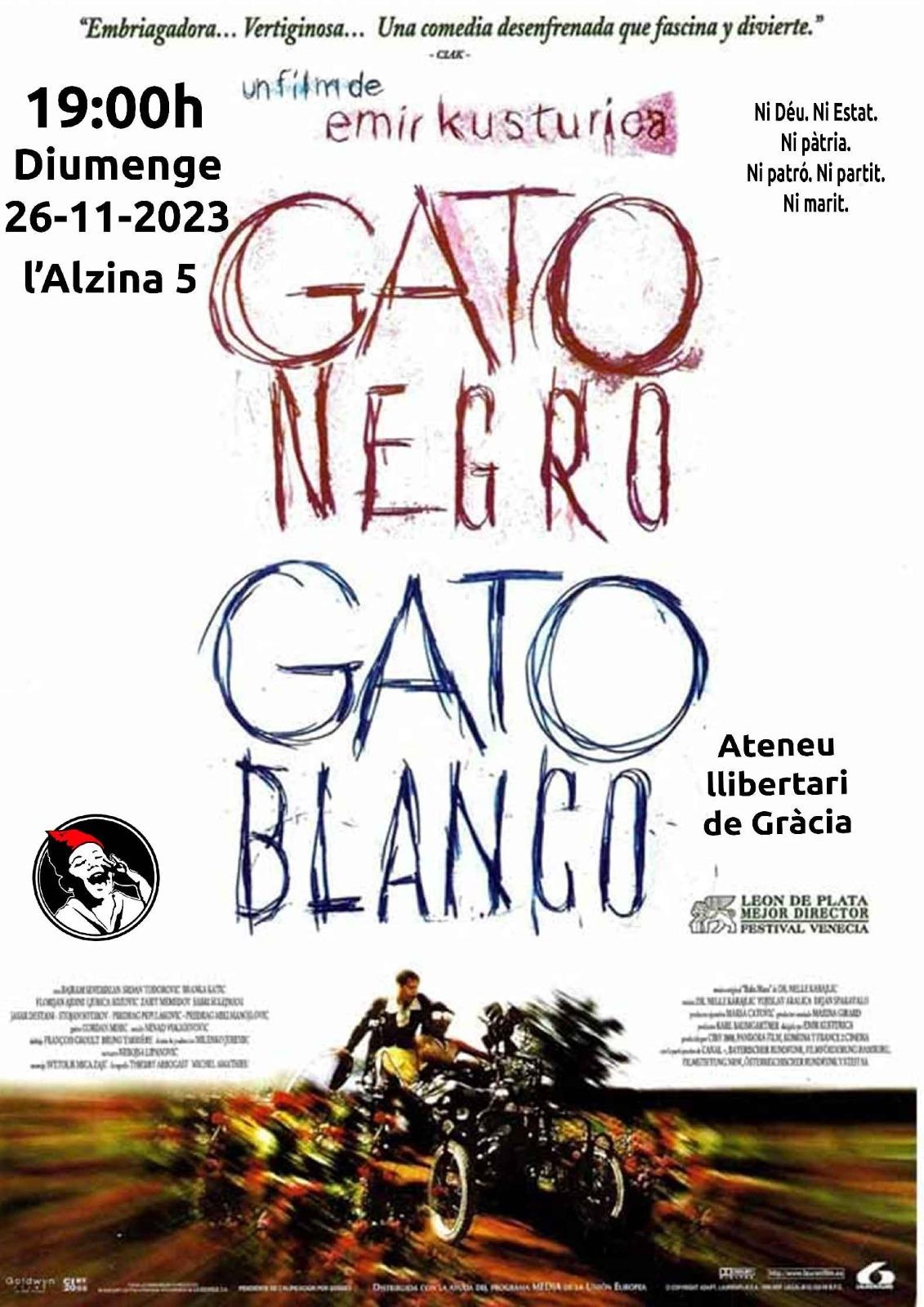 Cinefòrum: GATO NEGRO GATO BLANCO (1998)