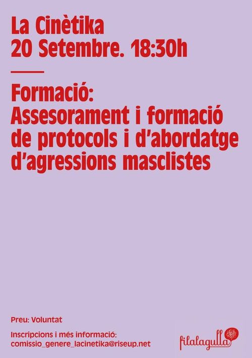 Formació: Assessorament i formació de protocols i d'abordatge d'agressions masclistes