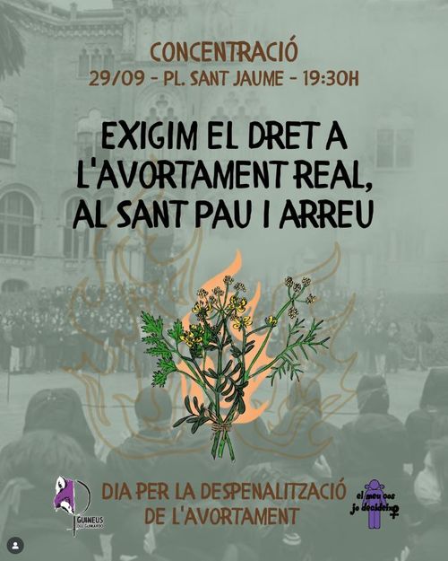 Concentració pel dret a l'avortament