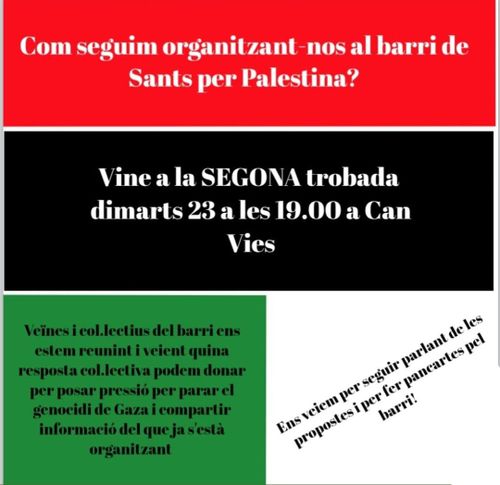 cartell sobri amb requadres de colors amb la bandera de palestina i el text de la descripció