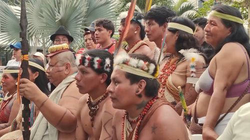 [Indifest 2025] Resistències indígenes: curtmetratges