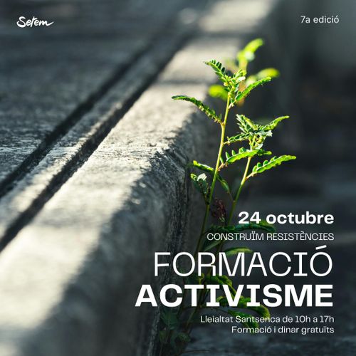 Cartell de la trobada, amb una planta que creix enmig de l'asfalt