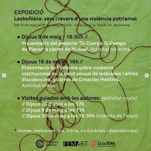 Presentació de l'informe sobre violència institucional en la salut sexual de lesbianes i altres dissidències a càrrec de Creación Positiva