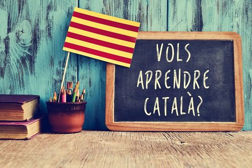 Classes de català