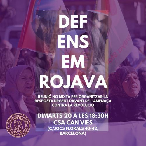 Assemblea no mixta per rojava