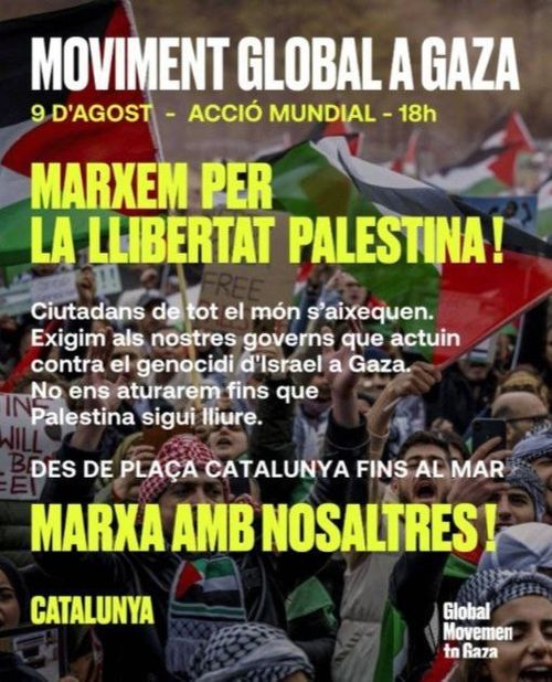 Foto de manifestació amb banderes palestines amb lletres per sobre. El text a la descripció