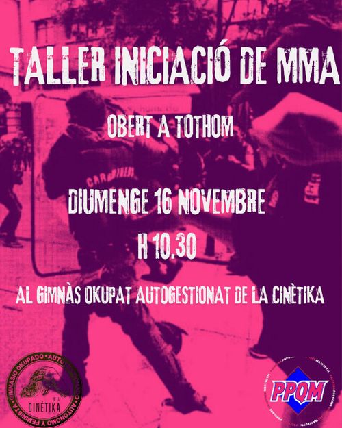 Taller Iniciació al MMA