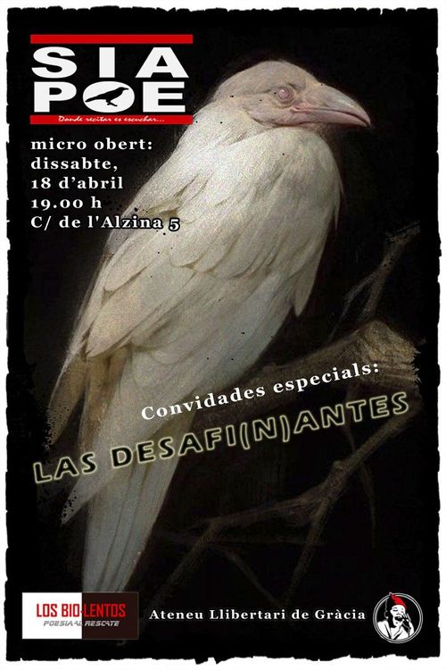 SÍ Ⓐ POE i micro obert