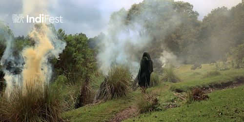 [Indifest 2025] En femení i plural: Curtmetratges (2a sessió)