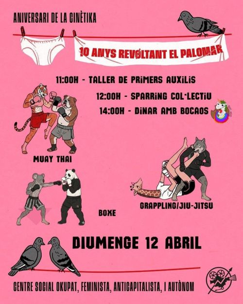 Taller de primers auxilis i Sparring col·lectiu al Gimnàs