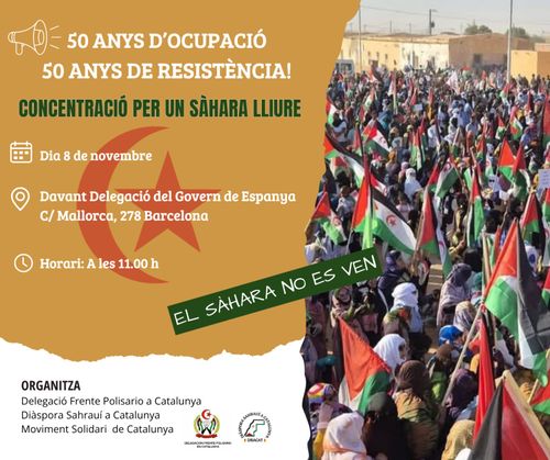 Concentració per un Sàhara lliure