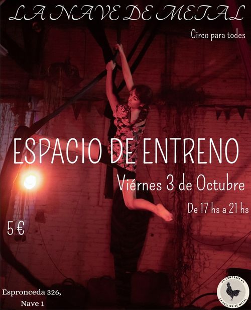 Espacio de Entreno (Danza, Circo, Acro...)