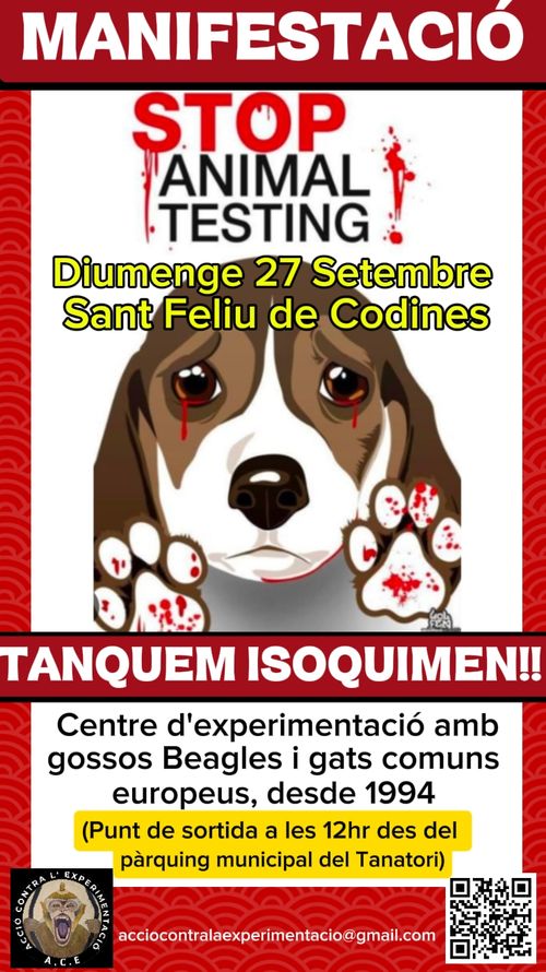  17a Protesta contra Isoquimen