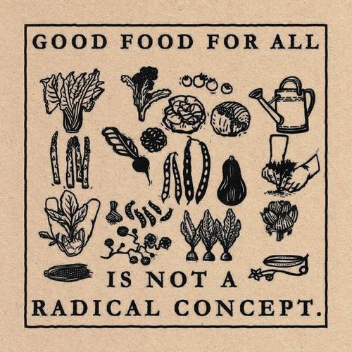 Xarxa d'aliments