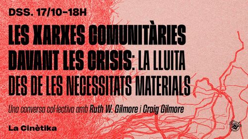 Les xarxes comunitàries davant les crisis