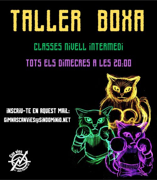 Taller Boxa - Classes guiades nivell intermedi