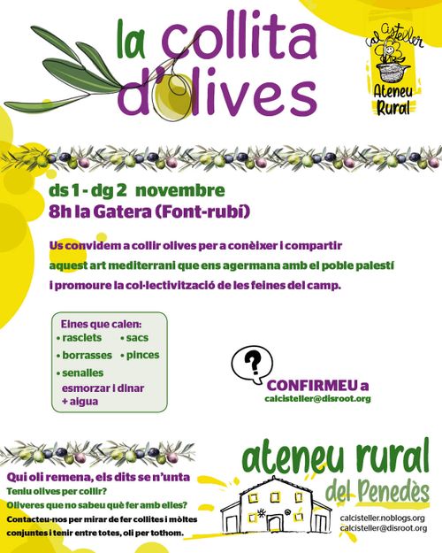 Collita d'olives de l'Ateneu Rural
