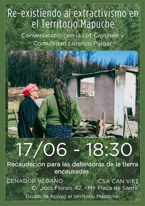 Re-existiendo al extractivismo en el territorio Mapuche