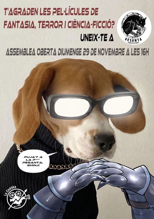 Pesanta projeccions: Assemblea oberta